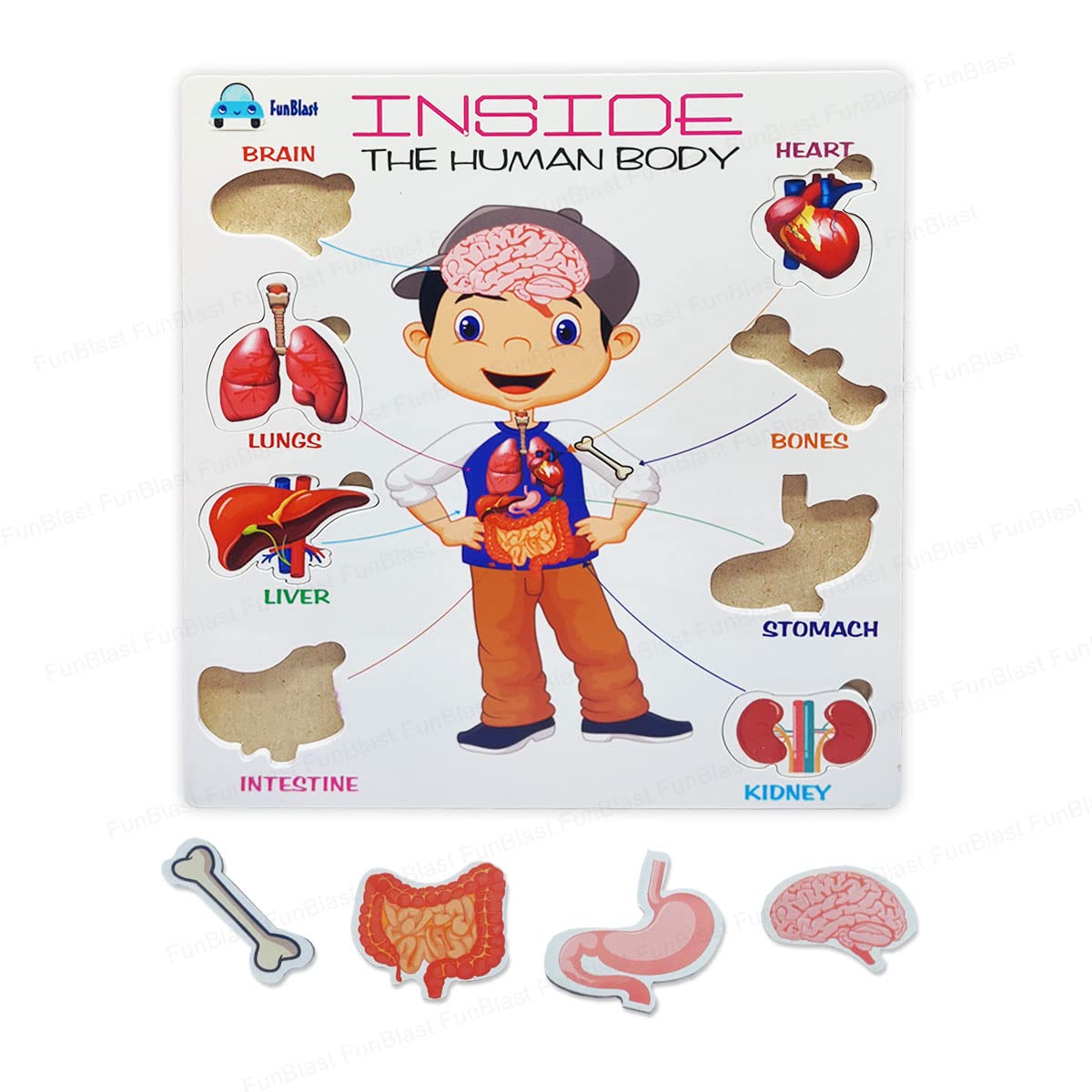 Funblast Body Parts Puzzle For Kids  Body Parts Toys, Educational Toys For Kids, Body Parts, Parts Of The Body Puzzle (Pack Of 