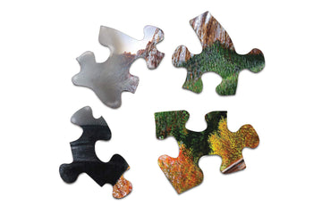 Springbok'S 1000 Piece Jigsaw Puzzle Mountain Express - Made In Usa