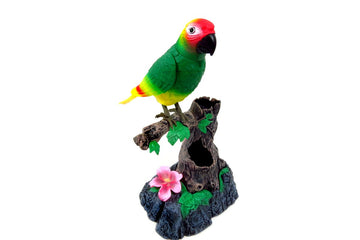 Az Trading & Import Bc505G Talking Parrot