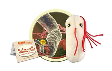 GIANTmicrobes Salmonella Plush Toy - Light Brown Bacteria Model - Educational Gift for Food Safety, Health, and Science Enthusiasts