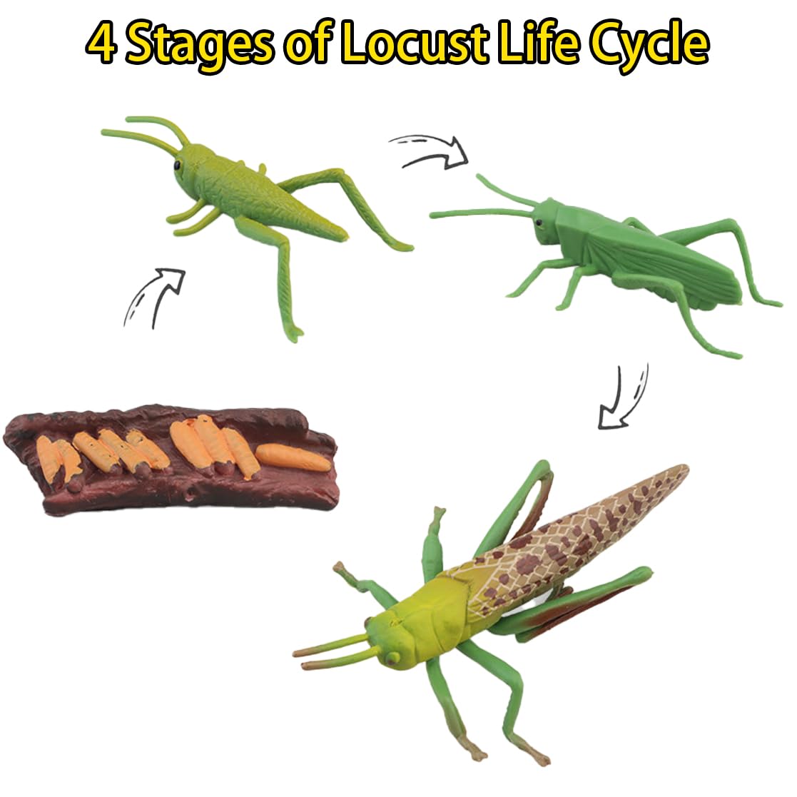 Montessori Life Cycle Animal Figures With Flash Cards, Realistic Animal Figurines Toy, And Educational Matching Game For Kids(Ma