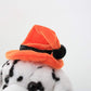 Plushland Halloween Pawpals 8 Inches Puppy Dog Plush Stuffed Toy Comes With Hat And Halloween Jack O Lantern - Pumpkin For Kids On This Holiday (Dalmatian)