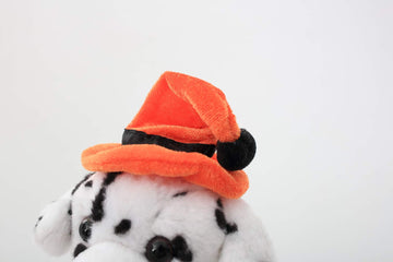 Plushland Halloween Pawpals 8 Inches Puppy Dog Plush Stuffed Toy Comes With Hat And Halloween Jack O Lantern - Pumpkin For Kids On This Holiday (Dalmatian)