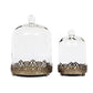 12' Tall Large Sturdy Handmade Glass Cloche Dome With Metal Base 11.4' H X 8' And 8' H X 5.5' In Set Of 2 In Gold For Plant, Terrarium, Collectibles, Candle. Cloche Glass Dome, Bell Jar Display Case