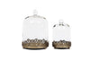 12' Tall Large Sturdy Handmade Glass Cloche Dome With Metal Base 11.4' H X 8' And 8' H X 5.5' In Set Of 2 In Gold For Plant, Terrarium, Collectibles, Candle. Cloche Glass Dome, Bell Jar Display Case