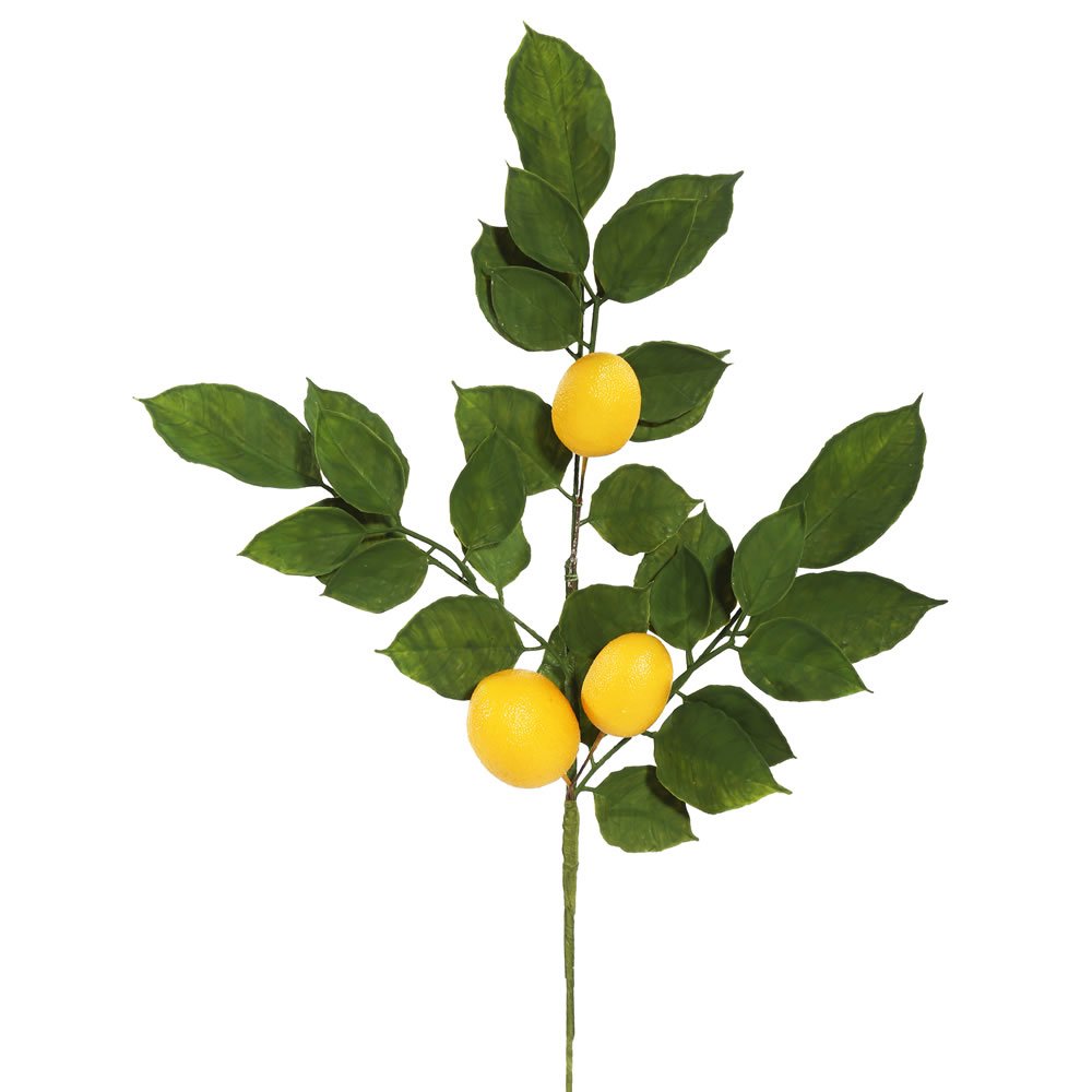 Vickerman 20'' Green Salal Leaf Lemon Spray 4/Pk - Fk170701-4