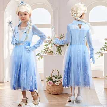 Itvti Elsa Costume Toddler Girls Snow Princess Dress Blue Cosplay Outfit With Wig For Halloween Birthday Party Christmas, 2-3T (Tag 100)