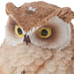 George S. Chen Imports Ss-G-54281 Imports Owl Figurines (Set Of 4), 2'