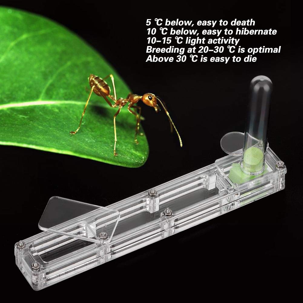 A Sixx Ant Breeding Box, Acrylic Ant Breeding Nest Ant Farm House Ant Display Box With Water Tower, Moisturizing, With 1Pcs Drop