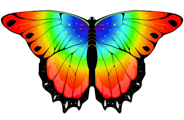 Irolewin Fairy Toddler Kids Butterfly-Wings For Girls Dress-Up-Costumes As Halloween Princess Party Favors