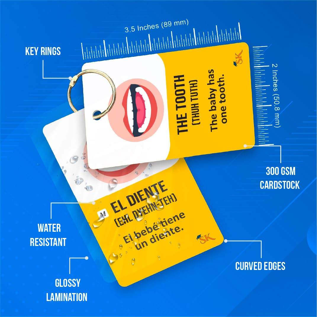 Study Key English Spanish Flash Cards - 300 Vocabulary Cards for Adults & Kids, Medium Size, Cardstock Material