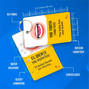 Study Key English Spanish Flash Cards - 300 Vocabulary Cards for Adults & Kids, Medium Size, Cardstock Material