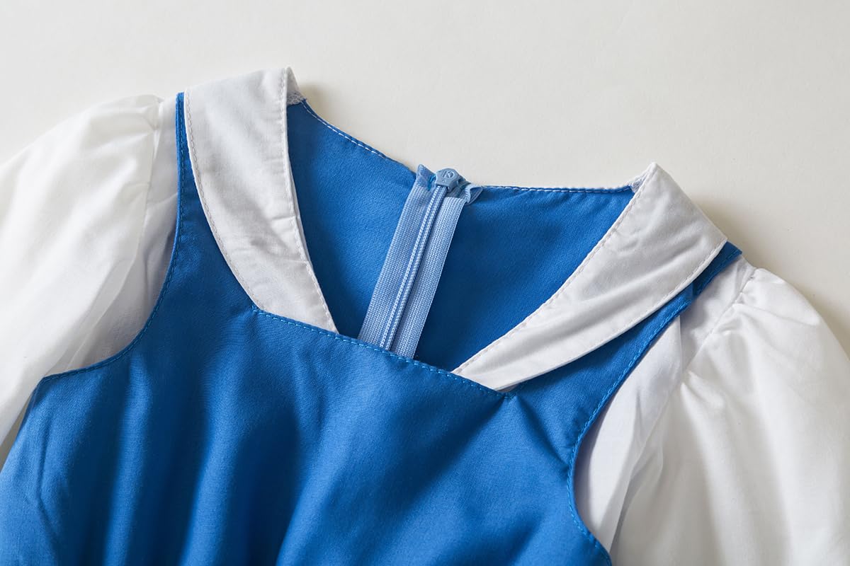 Belle Provincial Village Costume Blue Belle Dress Princess Belle Dress Beauty Beast Costume