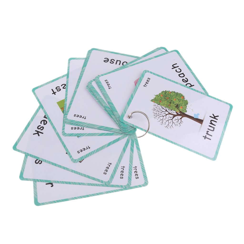 Enakshi Preschool Educational Flash Cards Trees  23 Pieces|Toys & Hobbies | Educational | Other Educational Toys