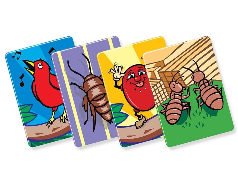 R&R Games Birds Bugs & Beans Family Game