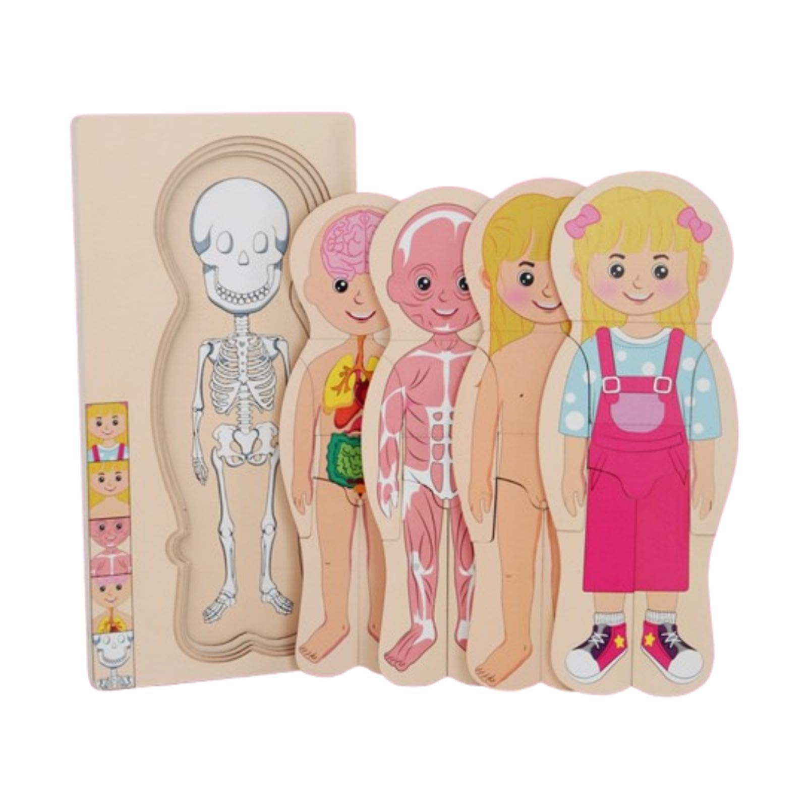 Ilsmysutra Wooden Body Puzzle For Kids Montessori Puzzles For Baby Girls Boys Children Gril|Toys For Baby|Developmental Baby Toy