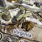 4D Cityscape Usa History Time Puzzle
