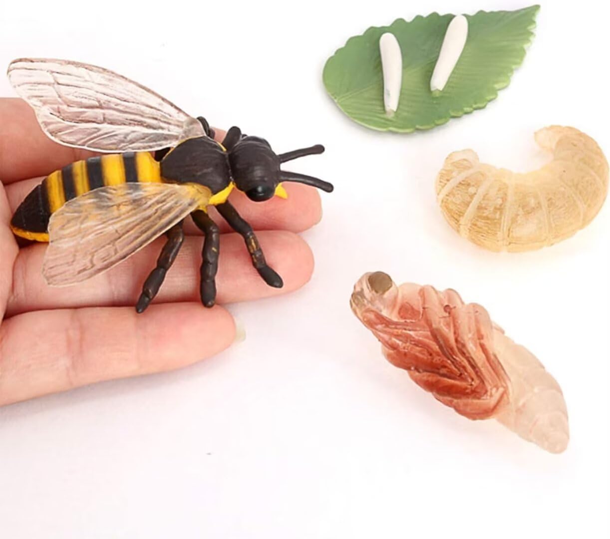 Hvogvok Bee Growth Cycle Set, Lifelike Animal Figures, Educational Kids Toy, 4-Piece Insect Model Kit For Parties