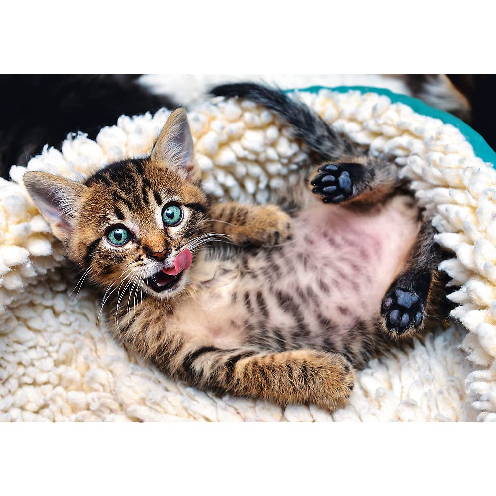 Trefl Cheerful Kitten 1000 Piece Jigsaw Puzzle, 27"x19", Multicolor, Model 10448, Creative Fun for Ages 12+