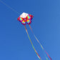 HENGDA KITE 2 Pack Butterfly Kite,for Kids and Adults,Easy to Fly,Excellent Fabric and Structure Design,The Pictures are Beautif