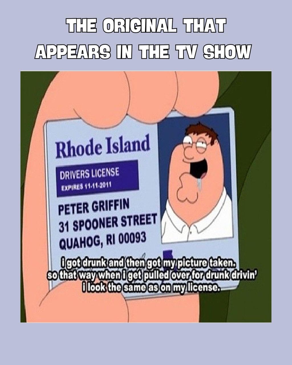 Pack of 3 Peter Griffin Driver License ID/Funny Plastic License/Family Guy Fans Complement for Costumes/Double Sided | Collectib