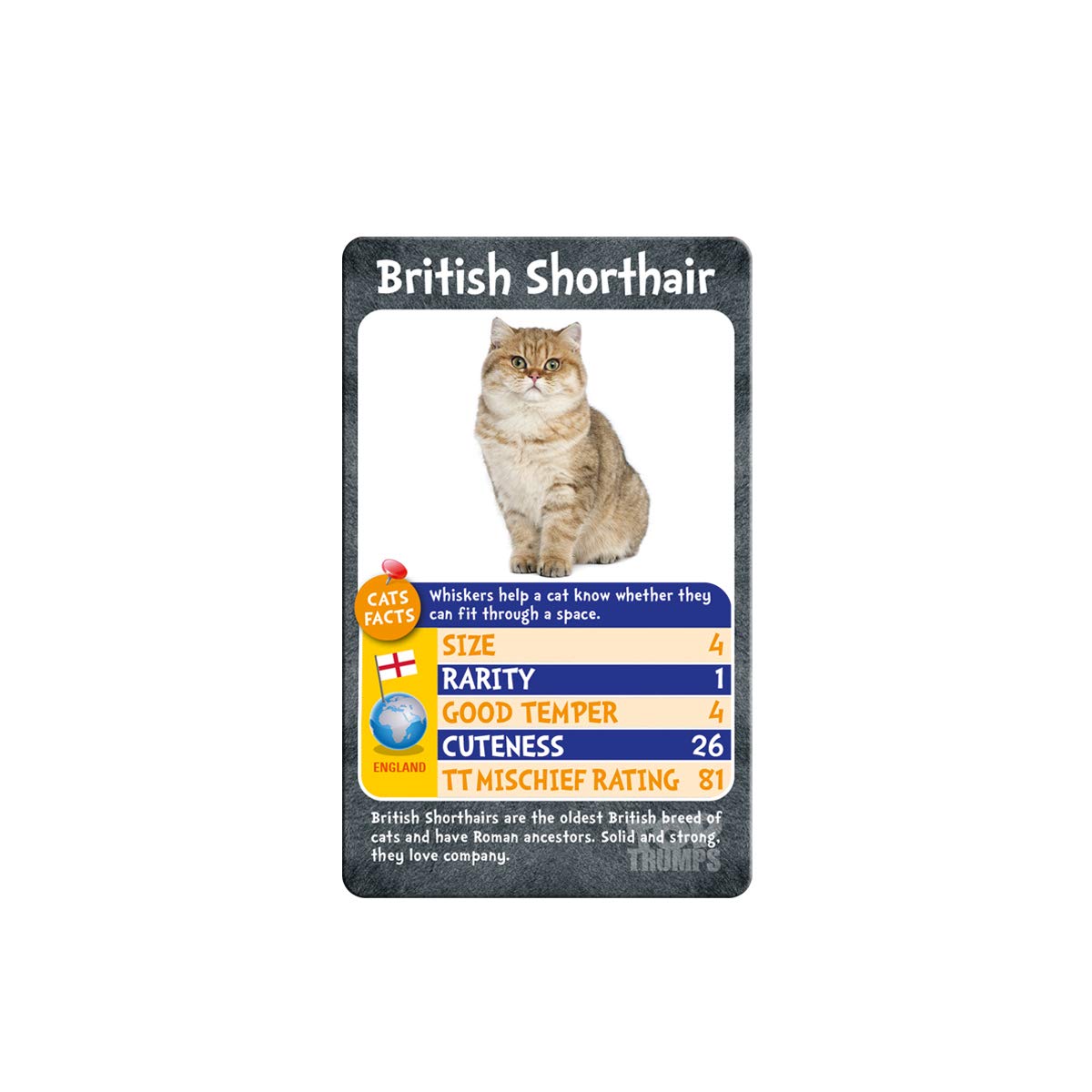 Cats And Kittens Top Trumps Card Game