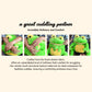 Yohaki Cute Frog Plush Stuffed Animal Toy For Boys & Girls Large 16 Inch Soft Toad Plushie Perfect For Hugging And Decoration(Un