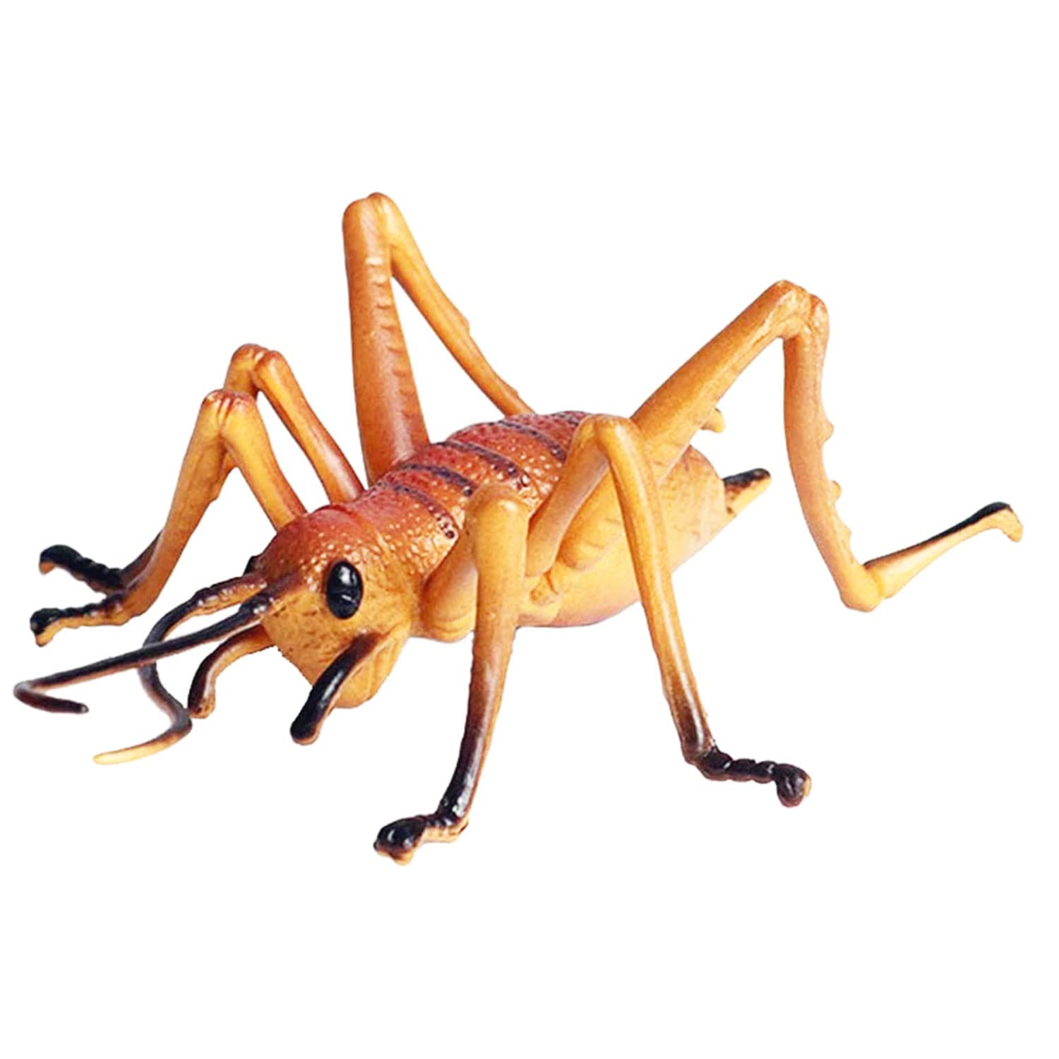Flormoon Realistic Animal Figures Cricket Figurines Insect Toy, Science Project, Cake Topper, Early Educational Toys Birthday Fo