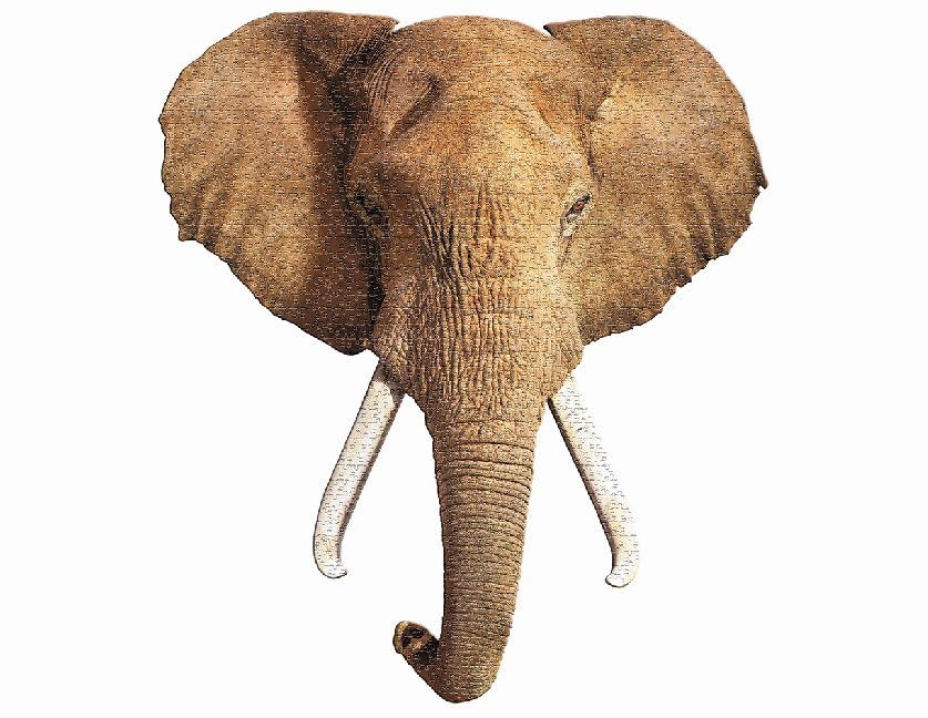 Madd Capp Puzzles - I Am Elephant - 700 Pieces - Animal Shaped Jigsaw Puzzle