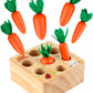 Rechiato Montessori Toys For 1 Year Old, Carrot Shape Size Sorting Game, Wooden Easter Baby Toys For Babies 6-12 Months Fine Mot