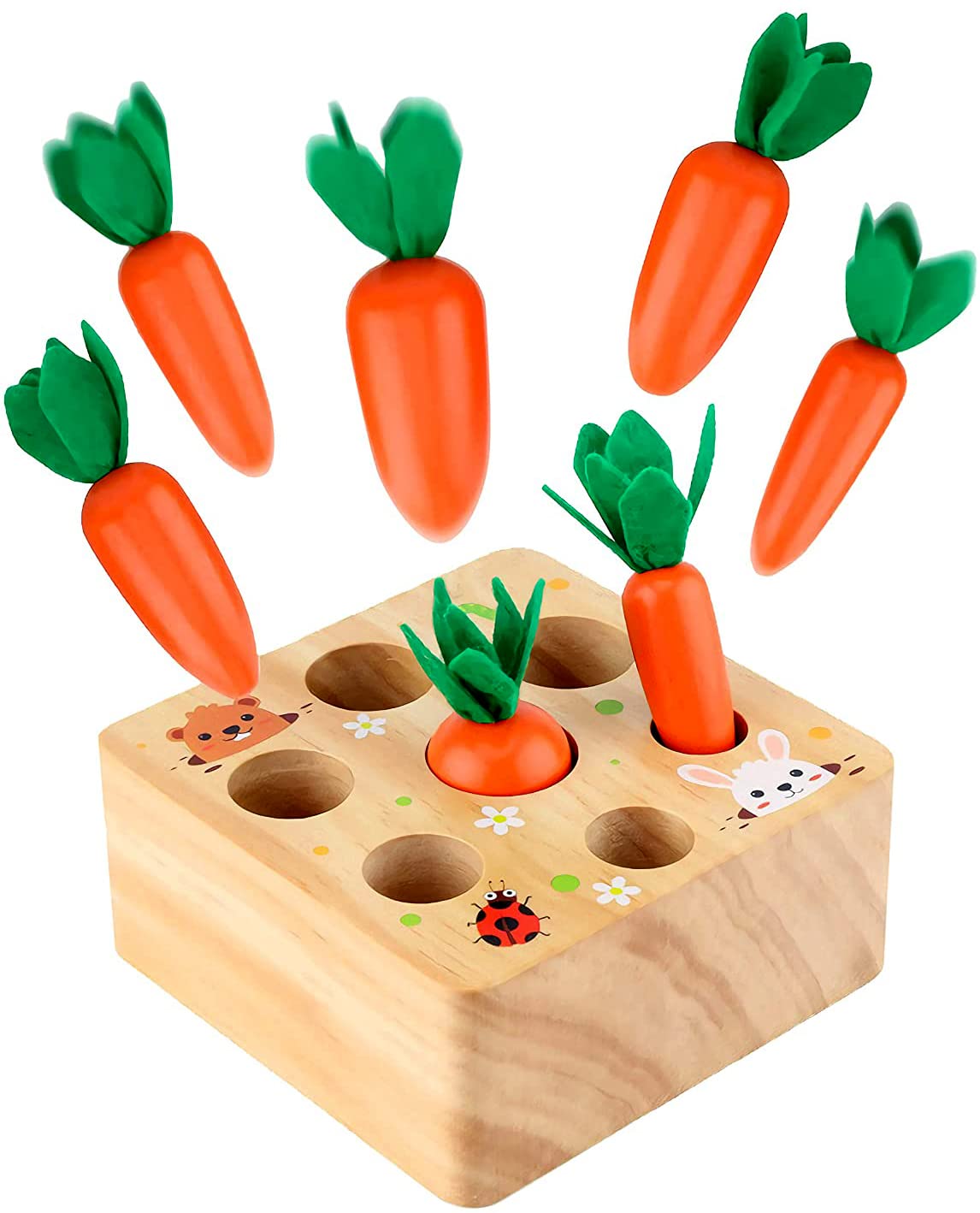 Rechiato Montessori Toys For 1 Year Old, Carrot Shape Size Sorting Game, Wooden Easter Baby Toys For Babies 6-12 Months Fine Mot