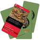 The Purple Cow Go Fish! - Predators And Other Killers - The Classic Card Game With A General Knowledge Boost For Kids & Families Ages 6+