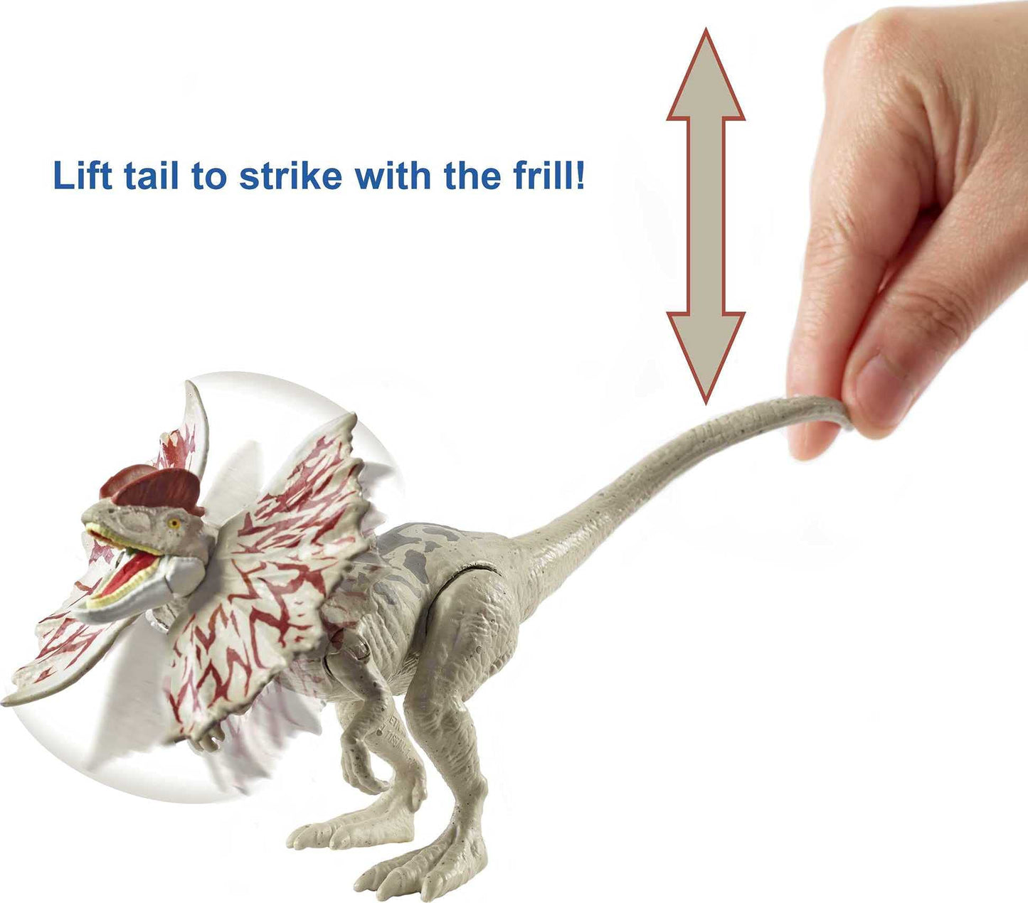 Jurassic World Dilophosaurus Action Figure, 7 Inch, Movable Joints, Realistic Sculpting, Multi-color, Model GWY30, Kids Gift Ages 3+