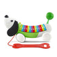 Leapfrog Alphapup (Frustration Free Packaging), Green