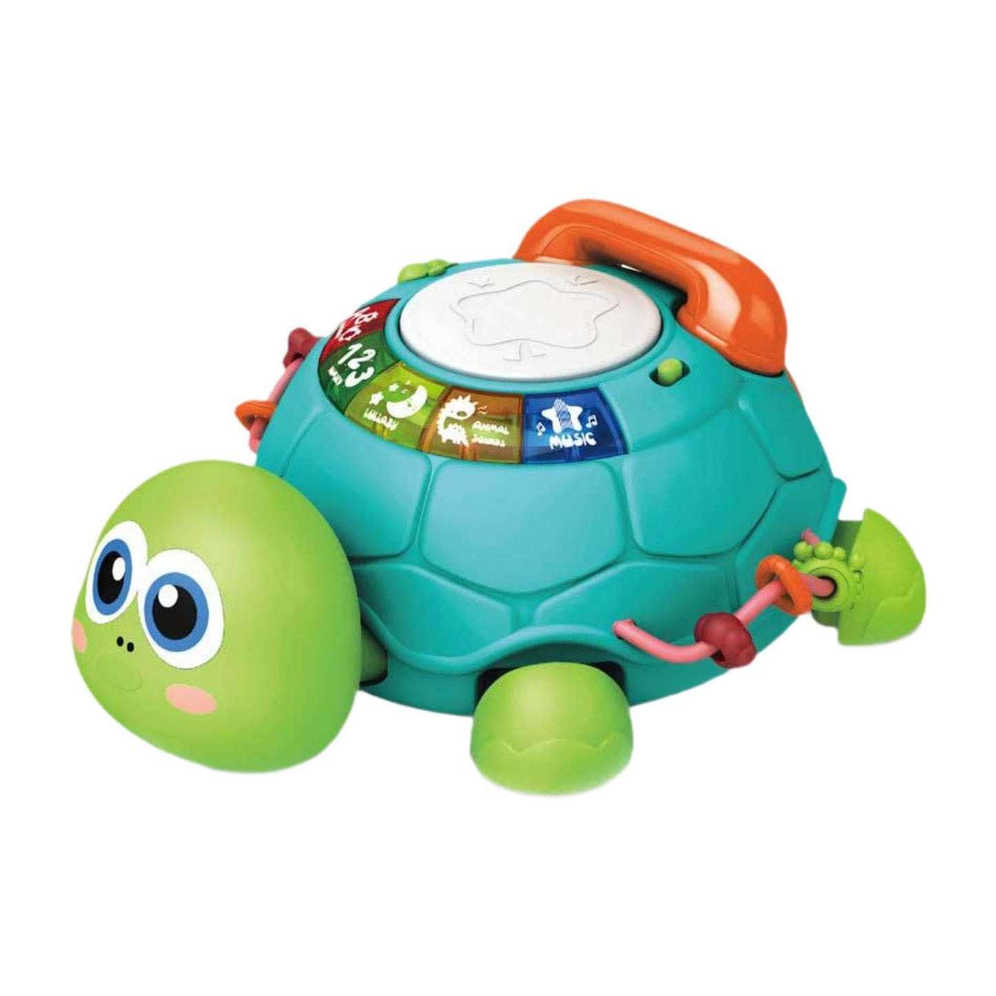 Enakshi Musical Turtle Crawling Toy Game Early Learning Educational Toy For Children|Baby | Toys For Baby | Developmental Baby T