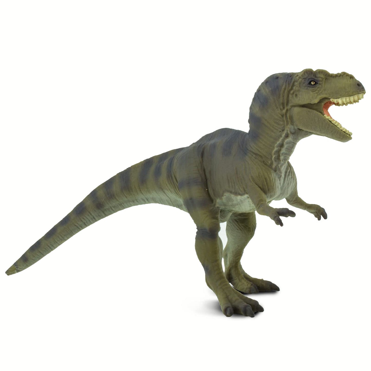 Safari - Tyrannosaurus Dinosaurs And Prehistoric Creatures, Multicolor (S100423)