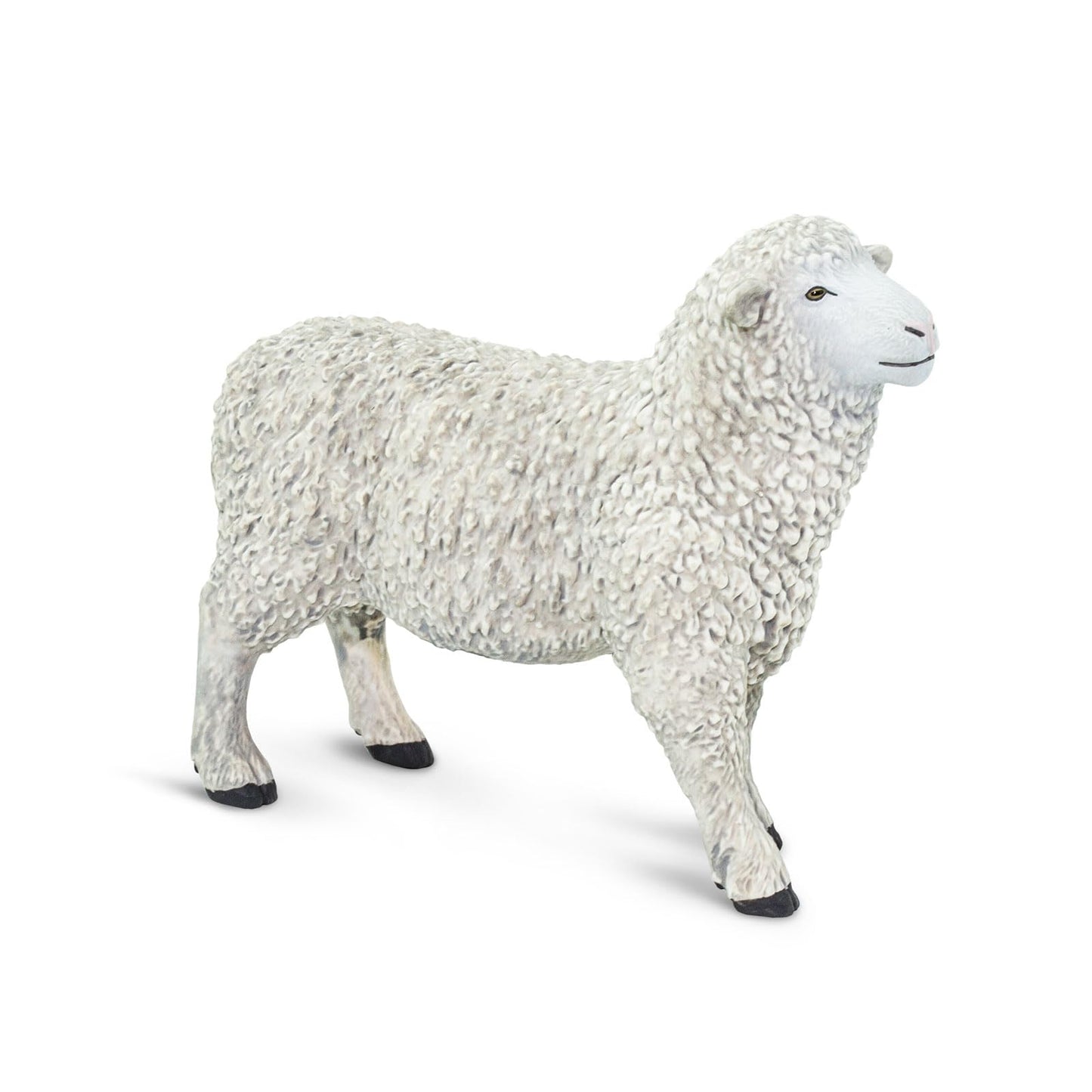 Safari 162429 Farm Sheep Minature