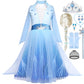 Itvti Elsa Costume Toddler Girls Snow Princess Dress Blue Cosplay Outfit With Wig For Halloween Birthday Party Christmas, 3-4T (Tag 110)