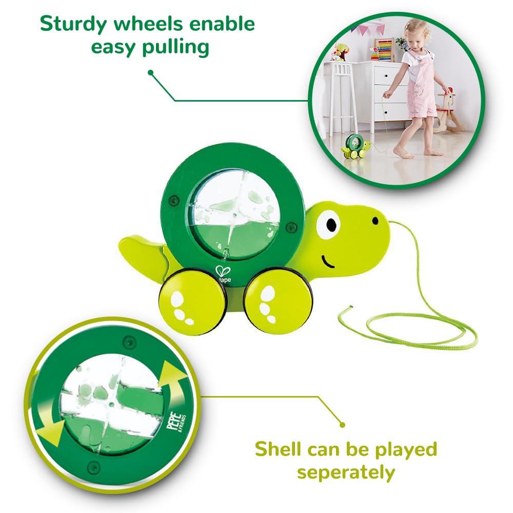 Hape Tito Pull Along | Wooden Turtle With Swirling Shell Pull Toddler Toy, Green