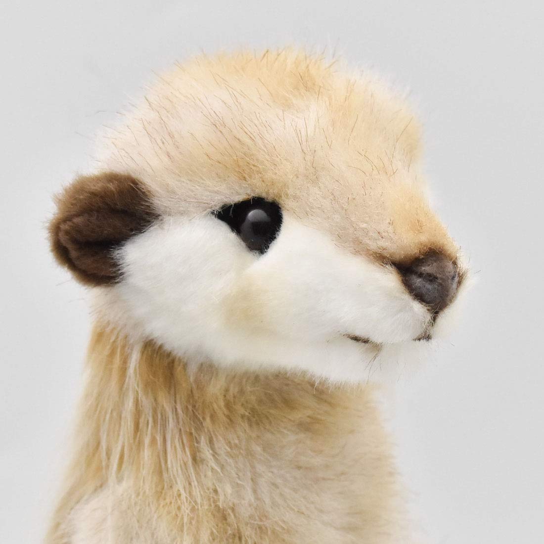 Hansa Meerkat #5326