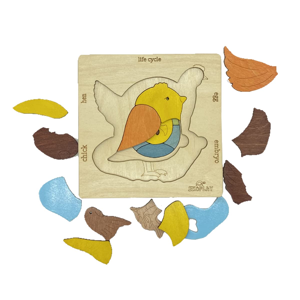 Life Cycle Of A Chicken | 20 Piece Wooden Jigsaw Puzzle For Kids | For Preschool Kids, Learning Educational Toys Gifts For Boys & Girls 3+ Years