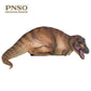Pnso Dinosaur Museums Series (Andrea The Tyrannosaurus Rex 1:35 Scientific Art Model)