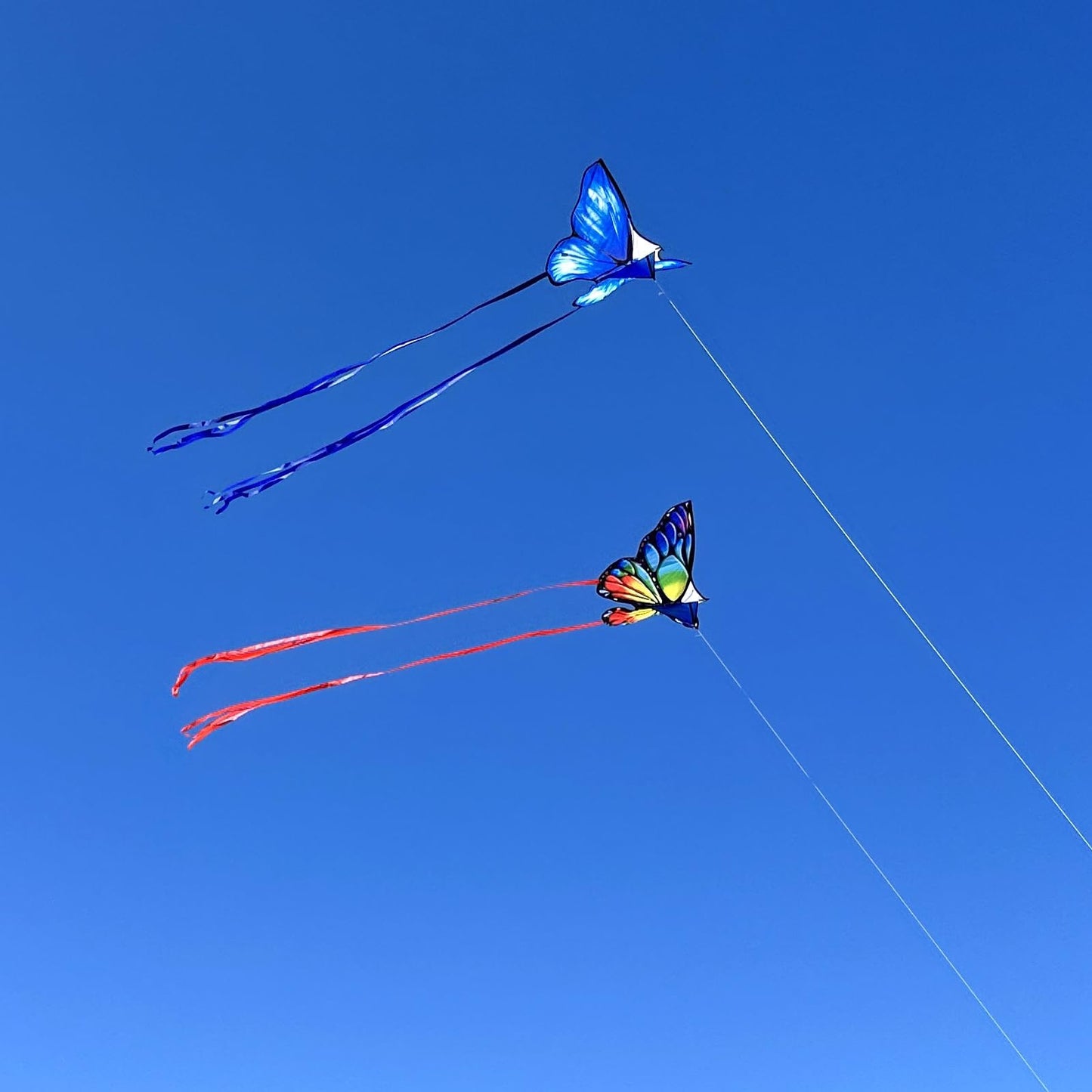 Simxkai 2 Pack Butterfly Kite For Kids & Adults, Easy To Fly Kite For Beginners, Each Kite With 300Ft Line