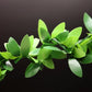 Aorvoras Mini Leaf Garland - 11ft Green Plastic Ivy Vine for Dollhouse, Weddings & Decor, Model CY-116-HH