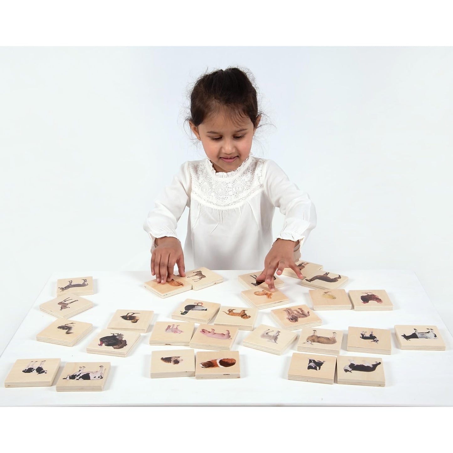 Tickit - 73406 Domestic Animal Family Match - Set Of 28 - Real Pictures - Animal Memory Game With Parents And Babies - Animal Ma