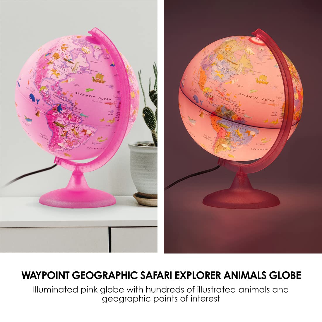 Waypoint Geographic Safari Explorer Animals Globe, World Globe, 10” Illuminated Desktop Globe With Physical Earth And 100S Of Illustrated Animals, Pink