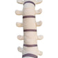 Giantmicrobes Spine Plush, Spine Surgeon Gifts, Back Surgery Recovery Gifts, Lumbar Spine Model, Neurology Gifts, Funny Chiropractor Gifts, Neurosurgery Gifts, Neurosurgeon Gifts, Back Pain Gifts