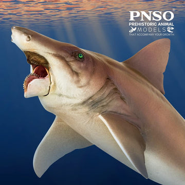 Pnso Prehistoric Animal Models (43 Haylee The Helicoprion)
