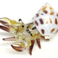 Sansukjai Seashell Hermit Crab Miniature Figurines Beach Animals Hand Blown Glass Art Natural Collectible Gift Decorate, Pastel Yellow