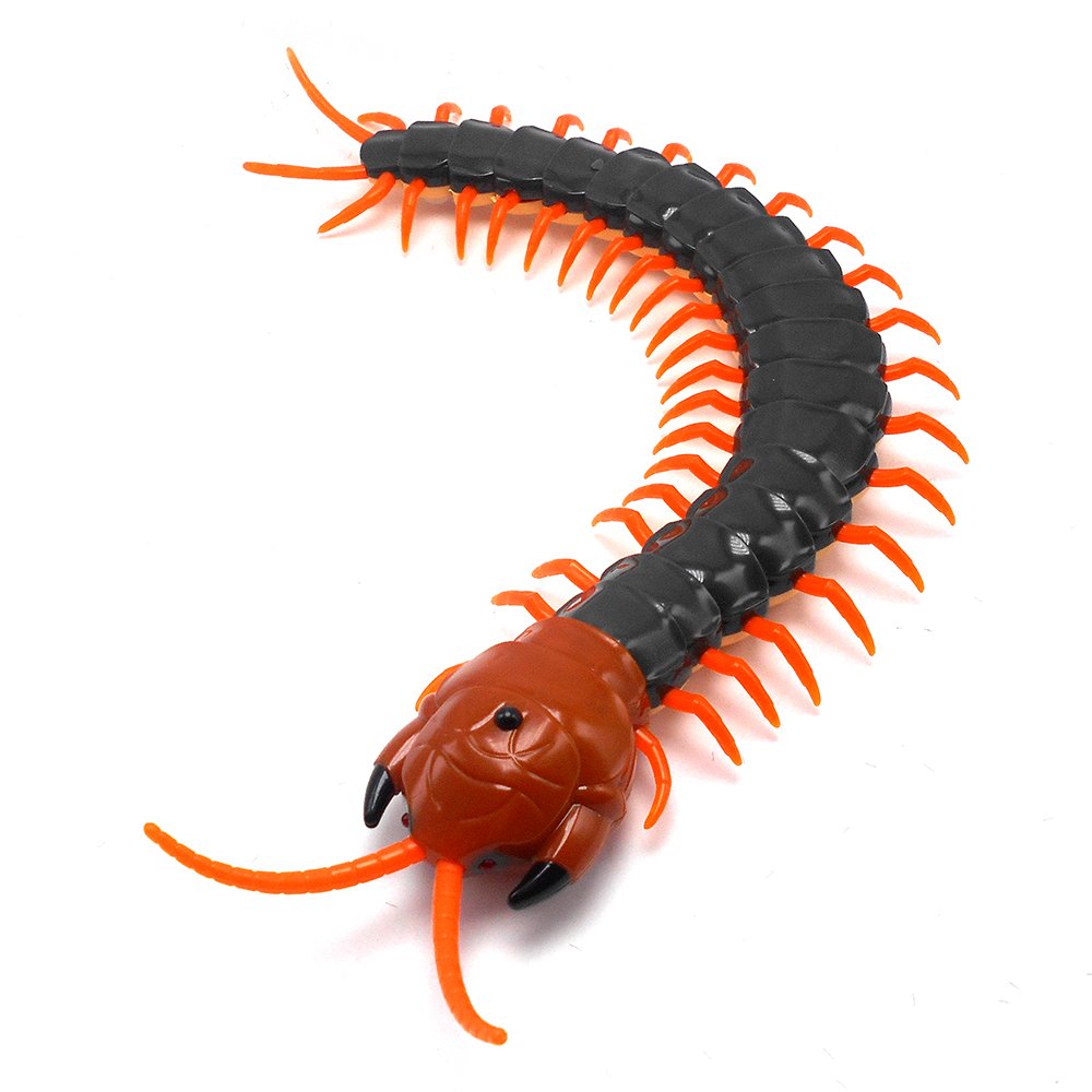 Tipmant Simulation RC Centipede Scolopendra Realistic Remote Control Vehicle Car Animal Insect Large Size Electric Prank Toy Kid